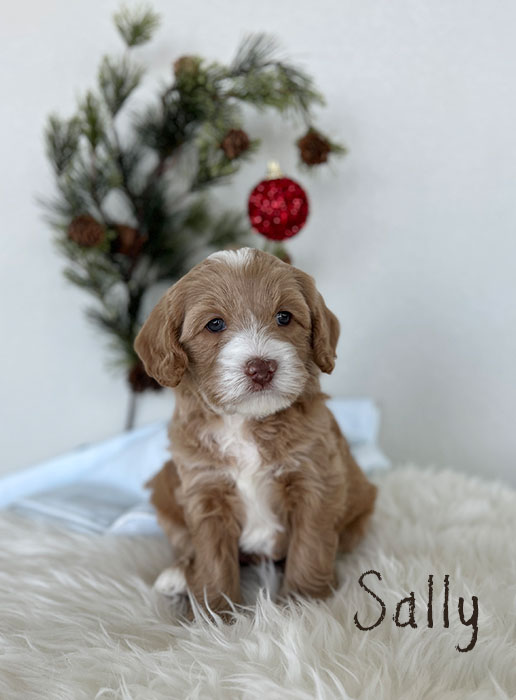 sally from marlee and river week 5