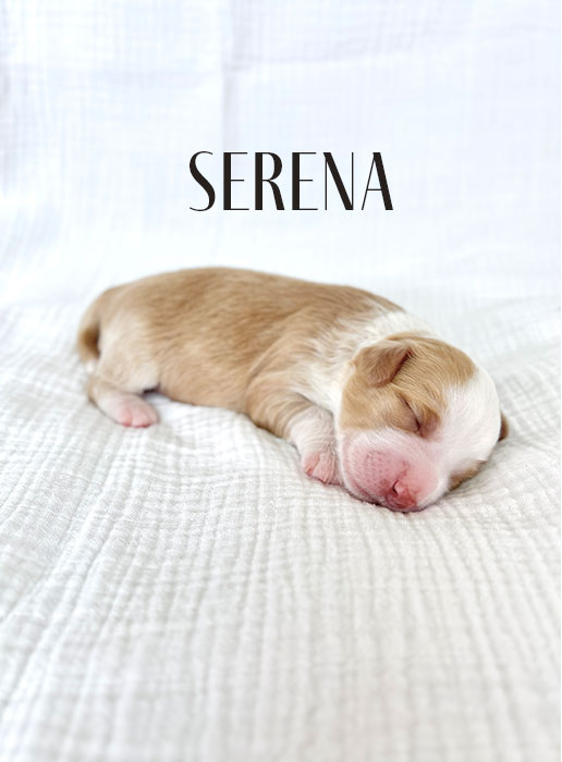 serena from libby and boots week 1